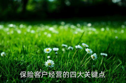 保險(xiǎn)客戶經(jīng)營(yíng)的四大關(guān)鍵點(diǎn)