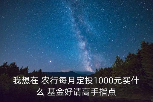 我想在 農行每月定投1000元買什么 基金好請高手指點