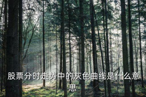  股票分時走勢中的灰色曲線是什么意思