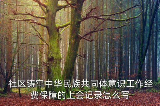  社區(qū)鑄牢中華民族共同體意識工作經(jīng)費(fèi)保障的上會記錄怎么寫