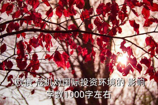  歐債 危機(jī)對(duì)國(guó)際投資環(huán)境的 影響字?jǐn)?shù)1000字左右