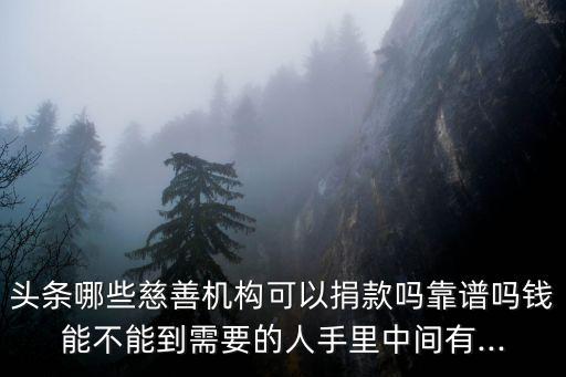 頭條哪些慈善機構(gòu)可以捐款嗎靠譜嗎錢能不能到需要的人手里中間有...