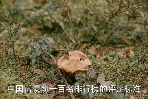 中國(guó)富豪前一百名排行榜的評(píng)定標(biāo)準(zhǔn)