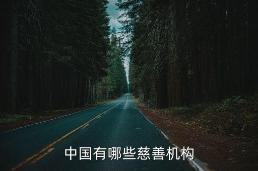 中國有哪些慈善機構(gòu)