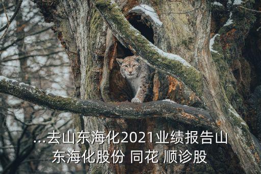 ...去山東海化2021業(yè)績報告山東?；煞?同花 順診股