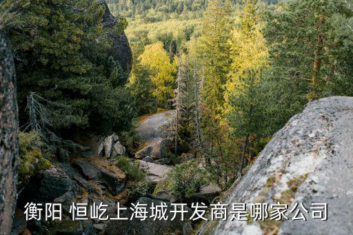 衡陽(yáng) 恒屹上海城開發(fā)商是哪家公司