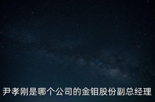 尹孝剛是哪個公司的金鉬股份副總經(jīng)理