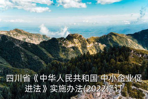 四川省《中華人民共和國 中小企業(yè)促進(jìn)法》實施辦法(2022修訂