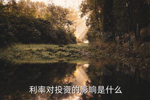  利率對投資的影響是什么