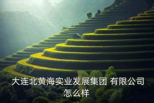  大連北黃海實業(yè)發(fā)展集團 有限公司怎么樣