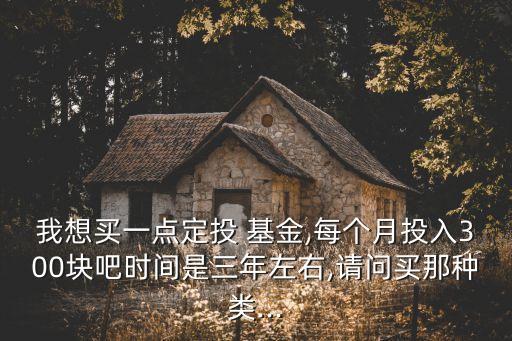 我想買(mǎi)一點(diǎn)定投 基金,每個(gè)月投入300塊吧時(shí)間是三年左右,請(qǐng)問(wèn)買(mǎi)那種類(lèi)...