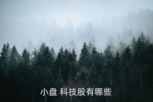 小盤 科技股有哪些