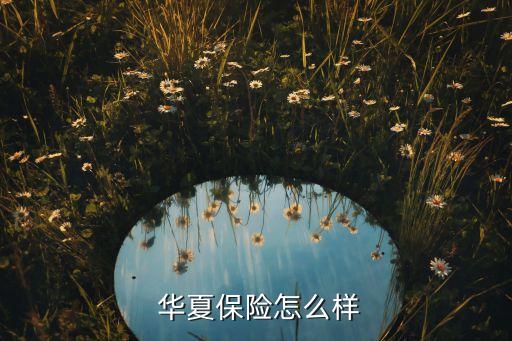  華夏保險(xiǎn)怎么樣