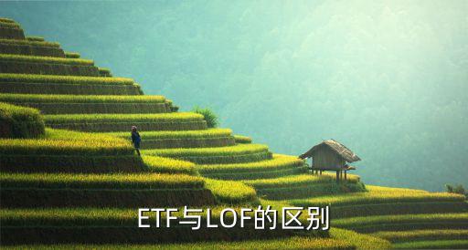 ETF與LOF的區(qū)別