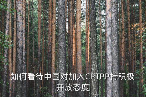 如何看待中國對加入CPTPP持積極開放態(tài)度