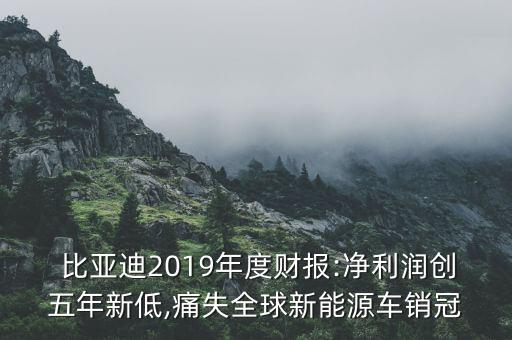 比亞迪汽車有限公司財(cái)務(wù)報(bào)表,合肥比亞迪汽車有限公司