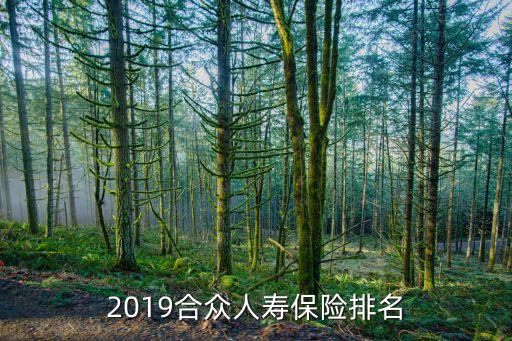 2019合眾人壽保險排名