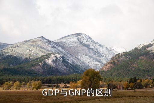 gdp和gnp哪個(gè)真正反映中國(guó)經(jīng)濟(jì)