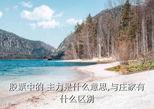 股票中的 主力是什么意思,與莊家有什么區(qū)別