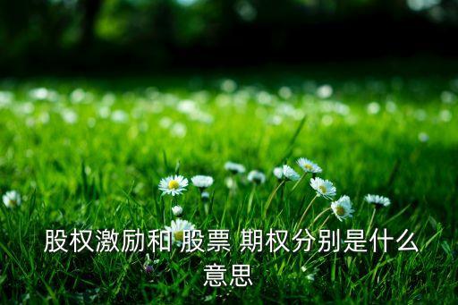  股權激勵和 股票 期權分別是什么意思