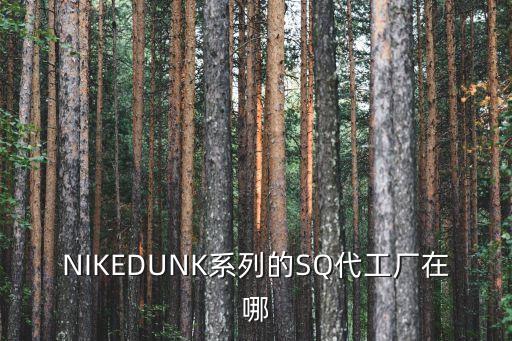 NIKEDUNK系列的SQ代工廠在哪