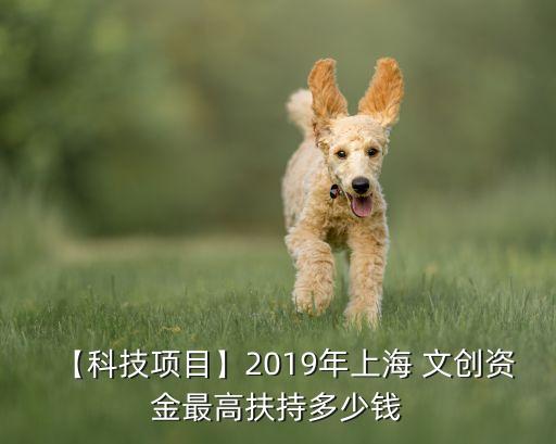 【科技項目】2019年上海 文創(chuàng)資金最高扶持多少錢