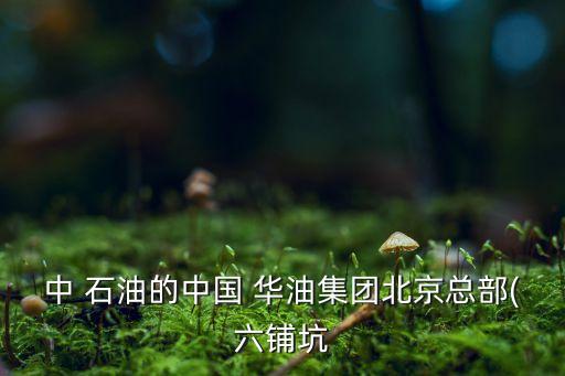 中石油華油集團公司,中國華油集團公司