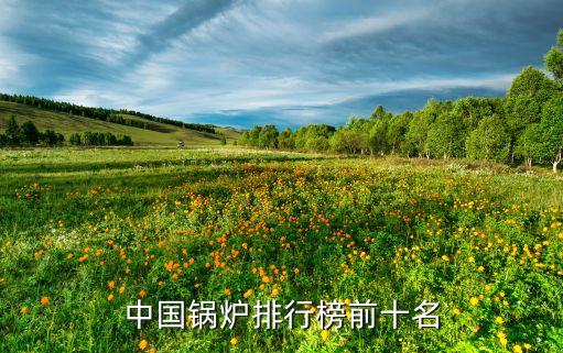 杭州杭鍋江南能源有限公司,浙江杭鍋江南國(guó)際貿(mào)易有限公司