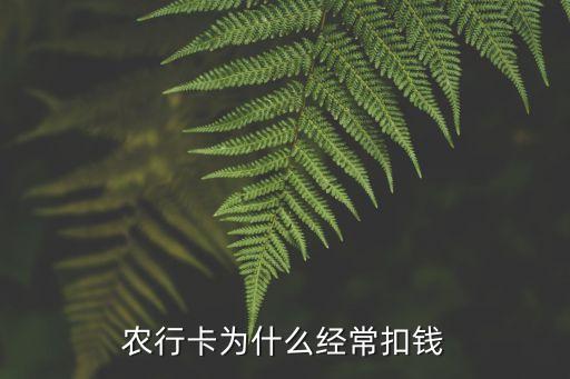 農(nóng)行卡為什么經(jīng)?？坼X