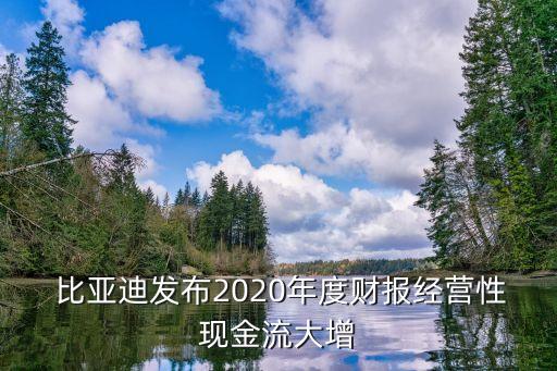  比亞迪發(fā)布2020年度財(cái)報(bào)經(jīng)營(yíng)性現(xiàn)金流大增