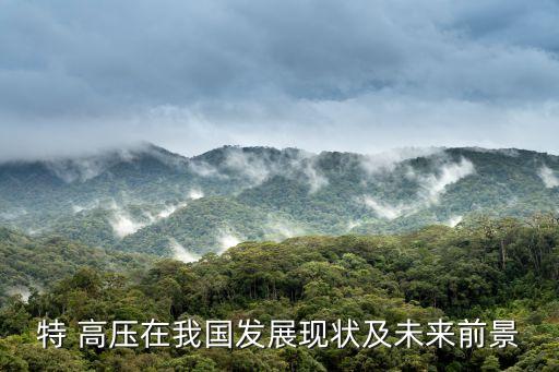 特 高壓在我國發(fā)展現狀及未來前景