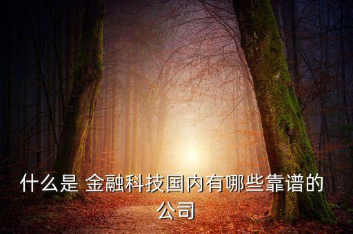 什么是 金融科技國(guó)內(nèi)有哪些靠譜的 公司