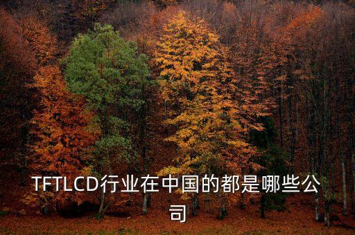 TFTLCD行業(yè)在中國(guó)的都是哪些公司