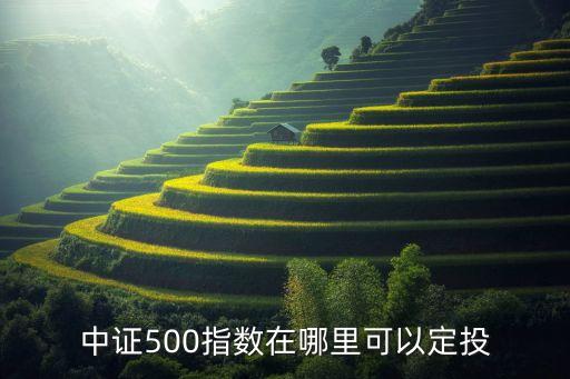 中證500指數(shù)在哪里可以定投