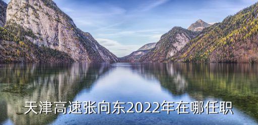 天津高速?gòu)埾驏|2022年在哪任職