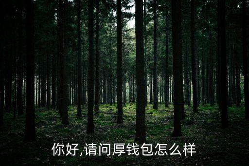 你好,請(qǐng)問厚錢包怎么樣