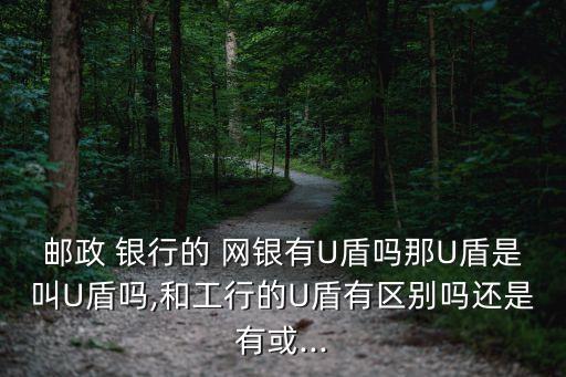 各大銀行網銀u盾,銀行企業(yè)網銀的u盾密碼錯了被鎖了