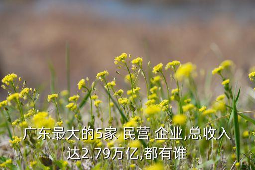 廣東最大的5家 民營 企業(yè),總收入達(dá)2.79萬億,都有誰