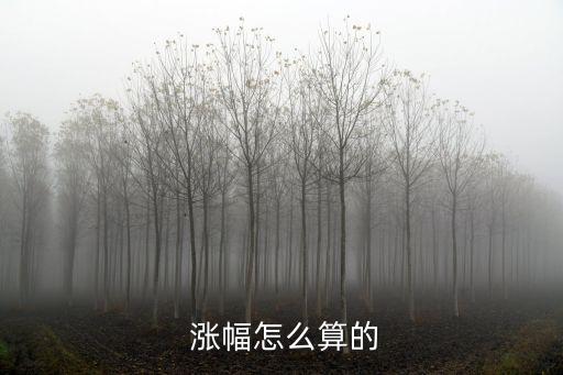  漲幅怎么算的