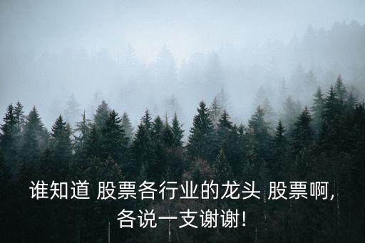 誰知道 股票各行業(yè)的龍頭 股票啊,各說一支謝謝!