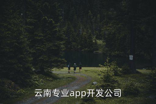 云南專業(yè)app開發(fā)公司