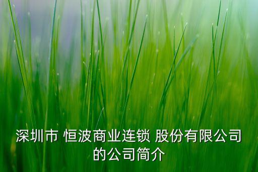 深圳市 恒波商業(yè)連鎖 股份有限公司的公司簡介