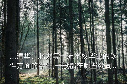 ...清華、北大等一流學校畢業(yè)的軟件方面的學生,一般都在哪些公司...