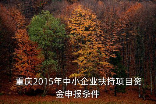  重慶2015年中小企業(yè)扶持項目資金申報條件