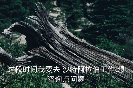 過段時間我要去 沙特阿拉伯工作,想咨詢點(diǎn)問題