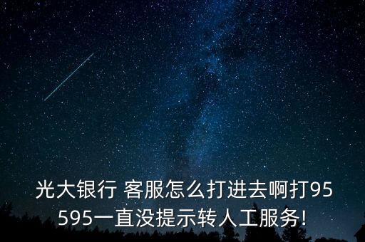  光大銀行 客服怎么打進(jìn)去啊打95595一直沒提示轉(zhuǎn)人工服務(wù)!