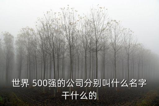 世界 500強(qiáng)的公司分別叫什么名字干什么的