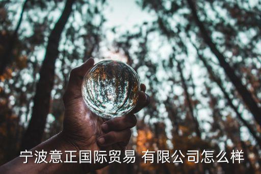  寧波意正國際貿(mào)易 有限公司怎么樣