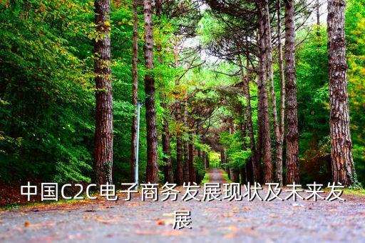 c2c上市公司