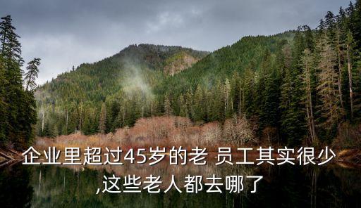 企業(yè)里超過(guò)45歲的老 員工其實(shí)很少,這些老人都去哪了